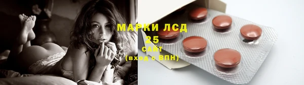 стаф Алексин