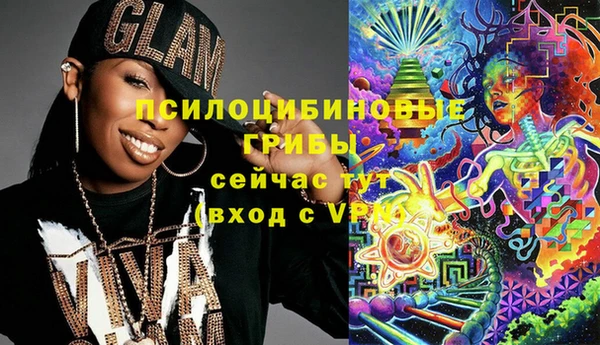 ПСИЛОЦИБИНОВЫЕ ГРИБЫ Алексеевка