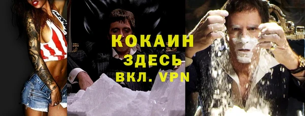 стаф Алексин