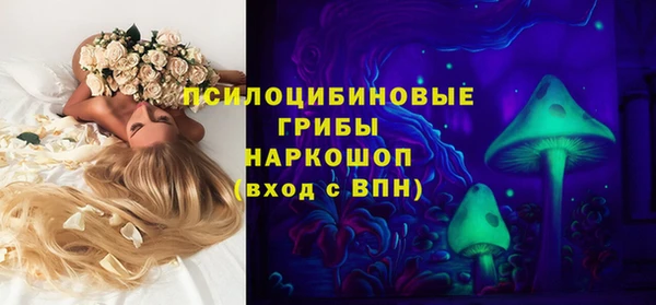 ПСИЛОЦИБИНОВЫЕ ГРИБЫ Алексеевка