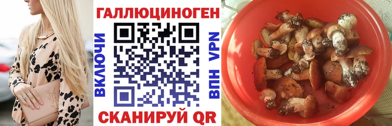 Псилоцибиновые грибы прущие грибы  где продают наркотики  hydra вход  Лаишево 